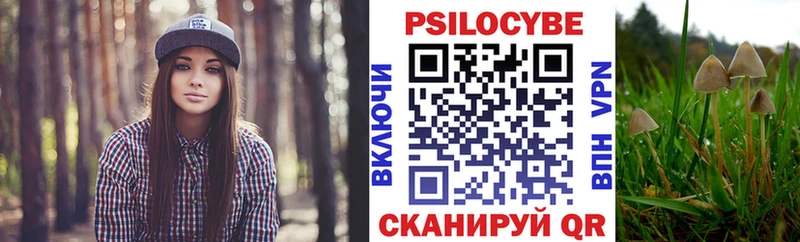 Псилоцибиновые грибы Psilocybine cubensis цены наркотик Ахтубинск