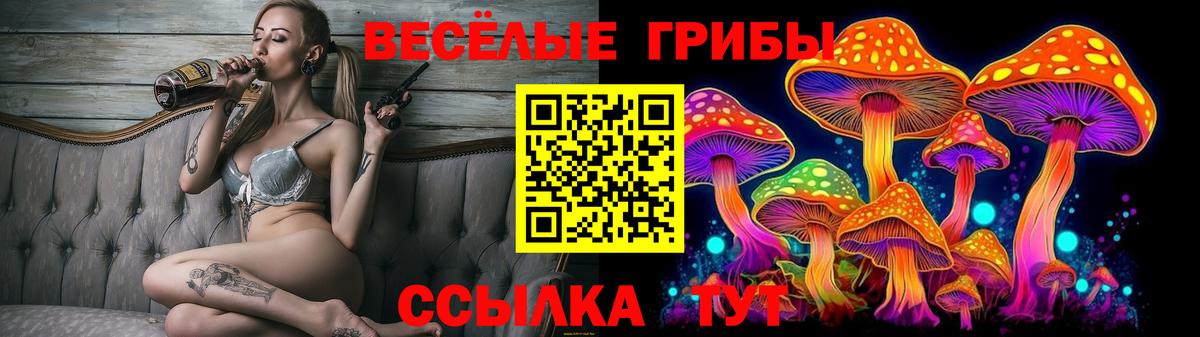 Галлюциногенные грибы Magic Shrooms  Галлюциногенные грибы мухоморы  купить  сайты  Вход с VPN  Ахтубинск 
