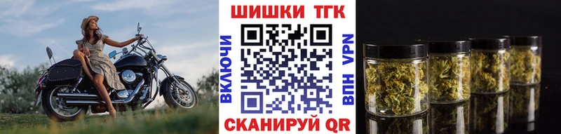 Бошки Шишки план  купить закладку  Ахтубинск 